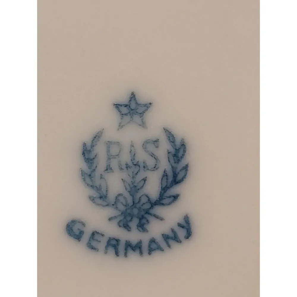 RARE NON-FOOTED RS Germany Porcelain Bowl #RHSRHS55 Fruit On Org/Ylw Background‎
